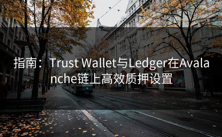 指南：Trust Wallet与Ledger在Avalanche链上高效质押设置