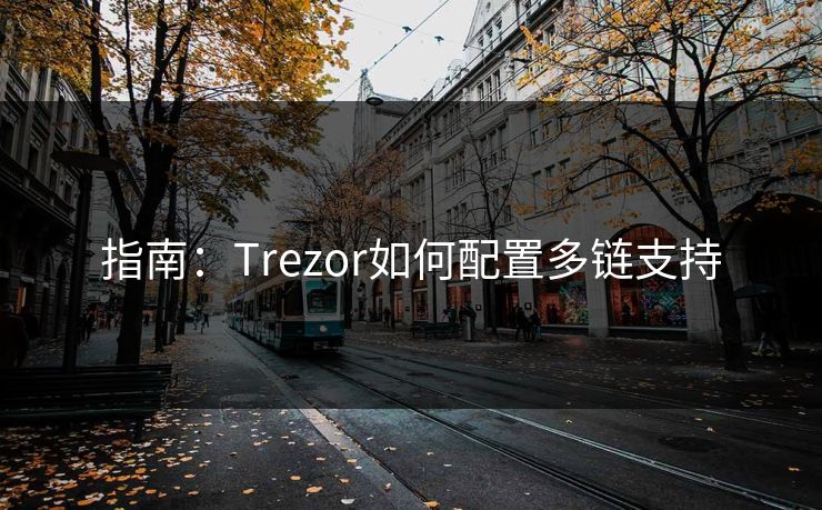 指南：Trezor如何配置多链支持