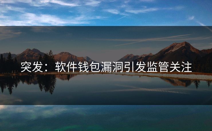 突发：软件钱包漏洞引发监管关注