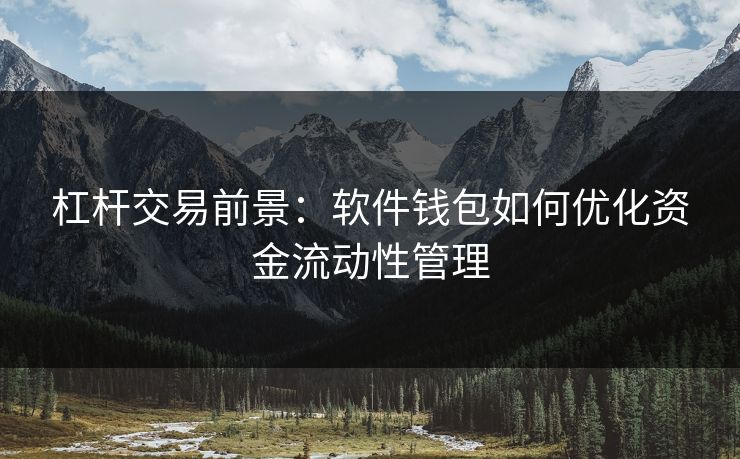 杠杆交易前景：软件钱包如何优化资金流动性管理