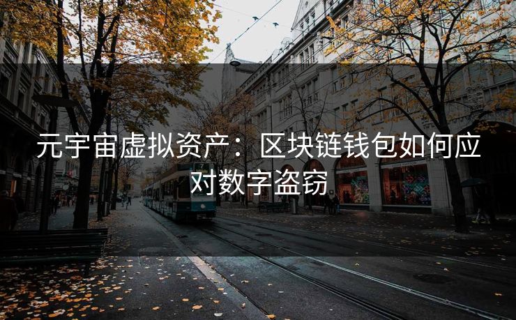 元宇宙虚拟资产：区块链钱包如何应对数字盗窃